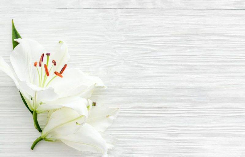 funeralflower